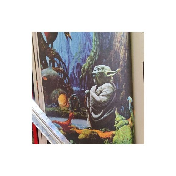 ę Star Wars, Beware the Power of the Dark Side book - Picture 11 of 12